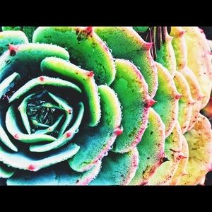 Meet your Posher, Michaela